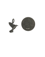 Humming Bird Charm
