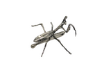 Manny the Mantis Hat Token