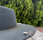 Manny the Mantis Hat Token