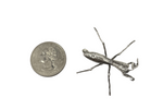Manny the Mantis Hat Token