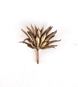 Agave Plant Hat Token