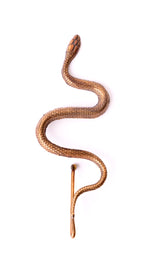 Snake Hat Token