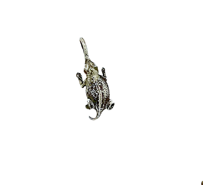 Horny Toad Charm