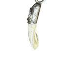 Tooth and Horseshoe Charm