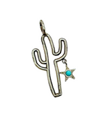 Sonoran Star Charm