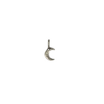 Tiny Moon Charm