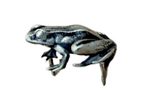Puddles the Tree Frog Hat Pin