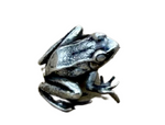 Puddles the Tree Frog Hat Pin