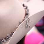 Manny the Mantis Hat Token