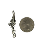 Zodiac Vertical Charm