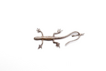 Gecko Hat Token