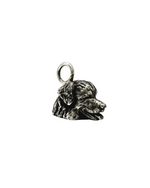 Bernese Mountain Dog Charm