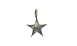 Lucky Star Charm