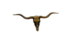 Longhorn Skull Hat Token