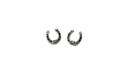 Horseshoe Stud