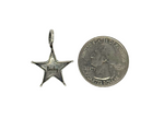 Lucky Star Charm