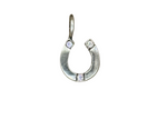 Lucky Horseshoe Charm