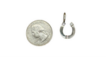 Lucky Horseshoe Charm